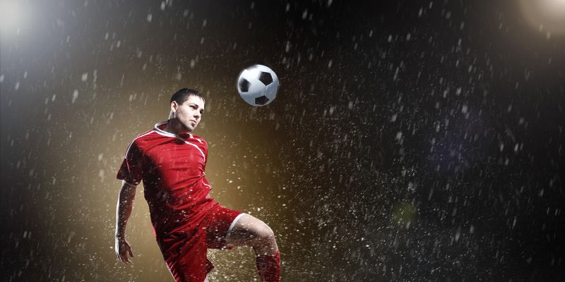 Kinh nghiệm chơi cá độ