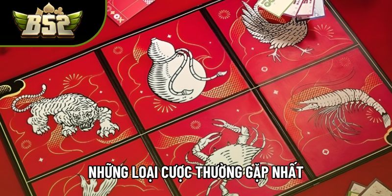 Những loại cược thường gặp nhất Những loại cược thường gặp nhất