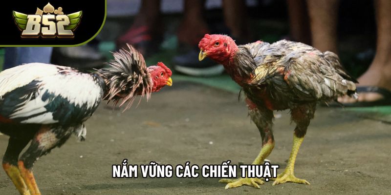Nắm vững các chiến thuật Nắm vững các chiến thuật