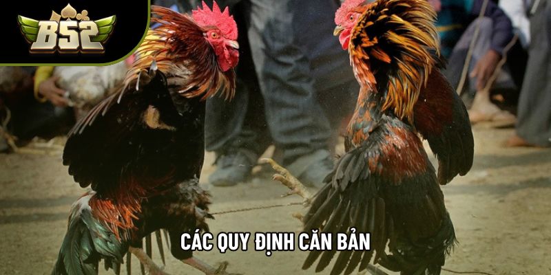 Các quy định căn bản Các quy định căn bản